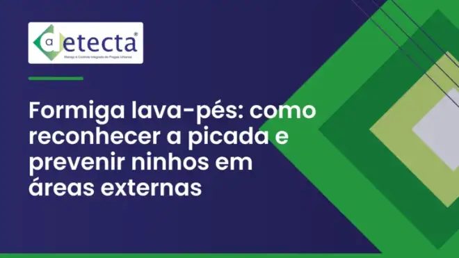 Capa do artigo sobre formiga lava-pés.