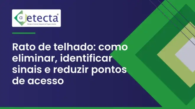 Capa do artigo sobre rato de telhado.