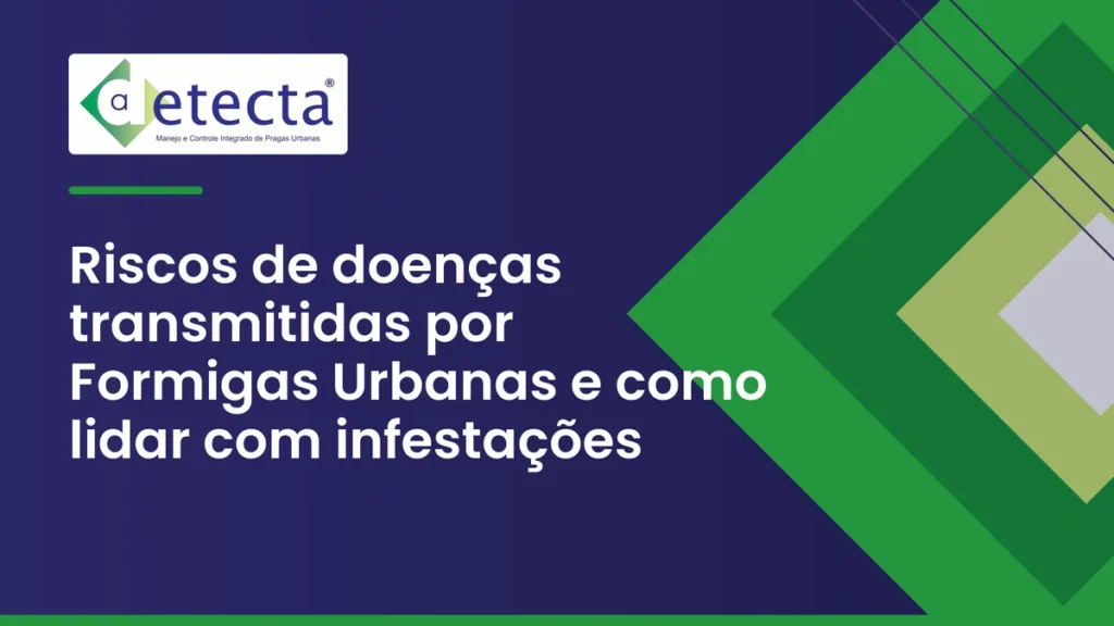 Capa do artigo sobre riscos de doenças transmitidas por Formigas Urbanas e como lidar com.
