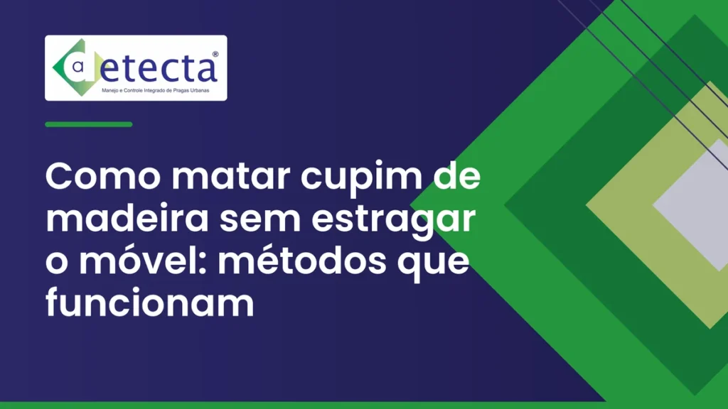 Capa do artigo sobre como matar cupim de madeira sem estragar o móvel.