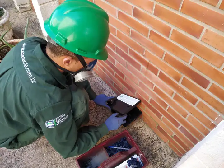 Técnico da Detecta abrindo porta-isca de roedores junto a uma parede